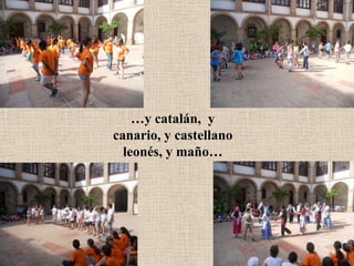 …y catalán, y
canario, y castellano
leonés, y maño…
 