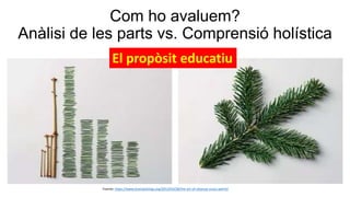 Com ho avaluem?
Anàlisi de les parts vs. Comprensió holística
Fuente; https://www.brainpickings.org/2013/03/28/the-art-of-cleanup-ursus-wehrli/
El propòsit educatiu
 