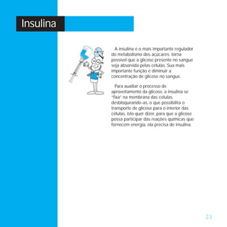 Insulina

             A insulina é o mais importante regulador
           do metabolismo dos açúcares: torna
           possível que a glicose presente no sangue
           seja absorvida pelas células. Sua mais
           importante função é diminuir a
           concentração de glicose no sangue.

             Para auxiliar o processo de
           aproveitamento da glicose, a insulina se
           “fixa” na membrana das células,
           desbloqueando-as, o que possibilita o
           transporte de glicose para o interior das
           células, isto quer dizer, para que a glicose
           possa participar das reações químicas que
           fornecem energia, ela precisa de insulina.




                                                          23
 