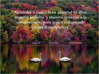 Aprender a convivir en amistad es abrir nuestro espíritu  y nuestro corazón a la comprensión, para quien comprende acepta o compadece. 