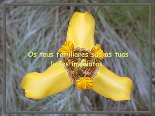 Os teus familiares são as tuas lições imediatas. 