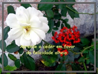 Aprende a ceder em favor da felicidade alheia. 