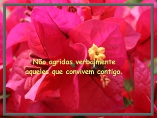 Não agridas verbalmente aqueles que convivem contigo. 