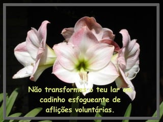 Não transformes o teu lar em cadinho esfogueante de aflições voluntárias. 