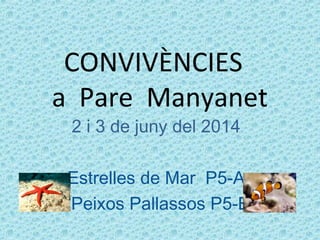 CONVIVÈNCIES
a Pare Manyanet
2 i 3 de juny del 2014
Estrelles de Mar P5-A
i Peixos Pallassos P5-B
 
