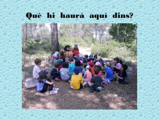 Què hi haurà aquí dins?
 