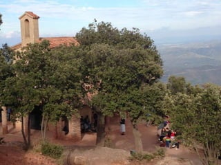 Convivències 4 t eso