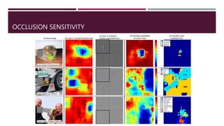 OCCLUSION SENSITIVITY
 