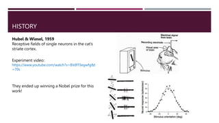 HISTORY
Hubel & Wiesel, 1959
Receptive fields of single neurons in the cat’s
striate cortex.
They ended up winning a Nobel prize for this
work!
Experiment video:
https://www.youtube.com/watch?v=8VdFf3egwfg&t
=70s
 
