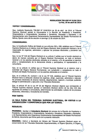 Convocatoria Elecciones Generales 2014, Resolución TSE-RSP-N° 0156-2014. Adjunta Calendario Electoral