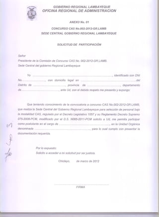 Convocatoria gobierno regional