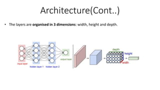 Architecture(Cont..)
• The layers are organised in 3 dimensions: width, height and depth.
 