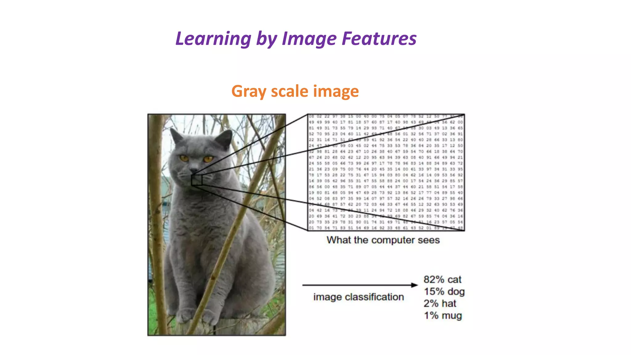 Learning by Image Features
Gray scale image
 