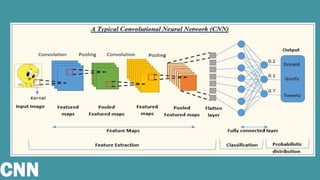 Comprehensive Overview of Convolutional Neural Networks: History ...