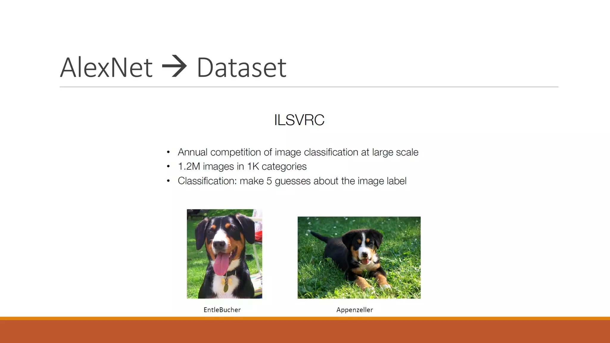 AlexNet  Dataset
 