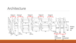 Architecture
Conv L1 Conv L2 Conv L3 Conv L4 Conv L5
Fully
Connected
L6
Fully
Connected
L7
Output
Layer
L8
 