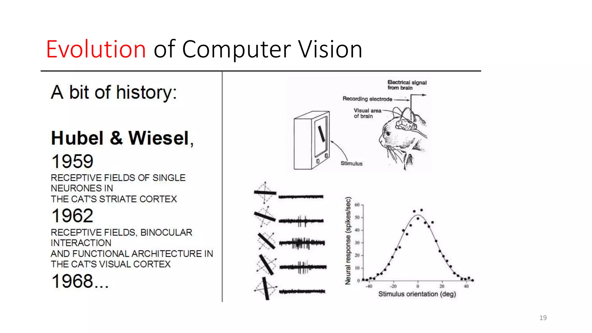 Evolution of Computer Vision
19
 