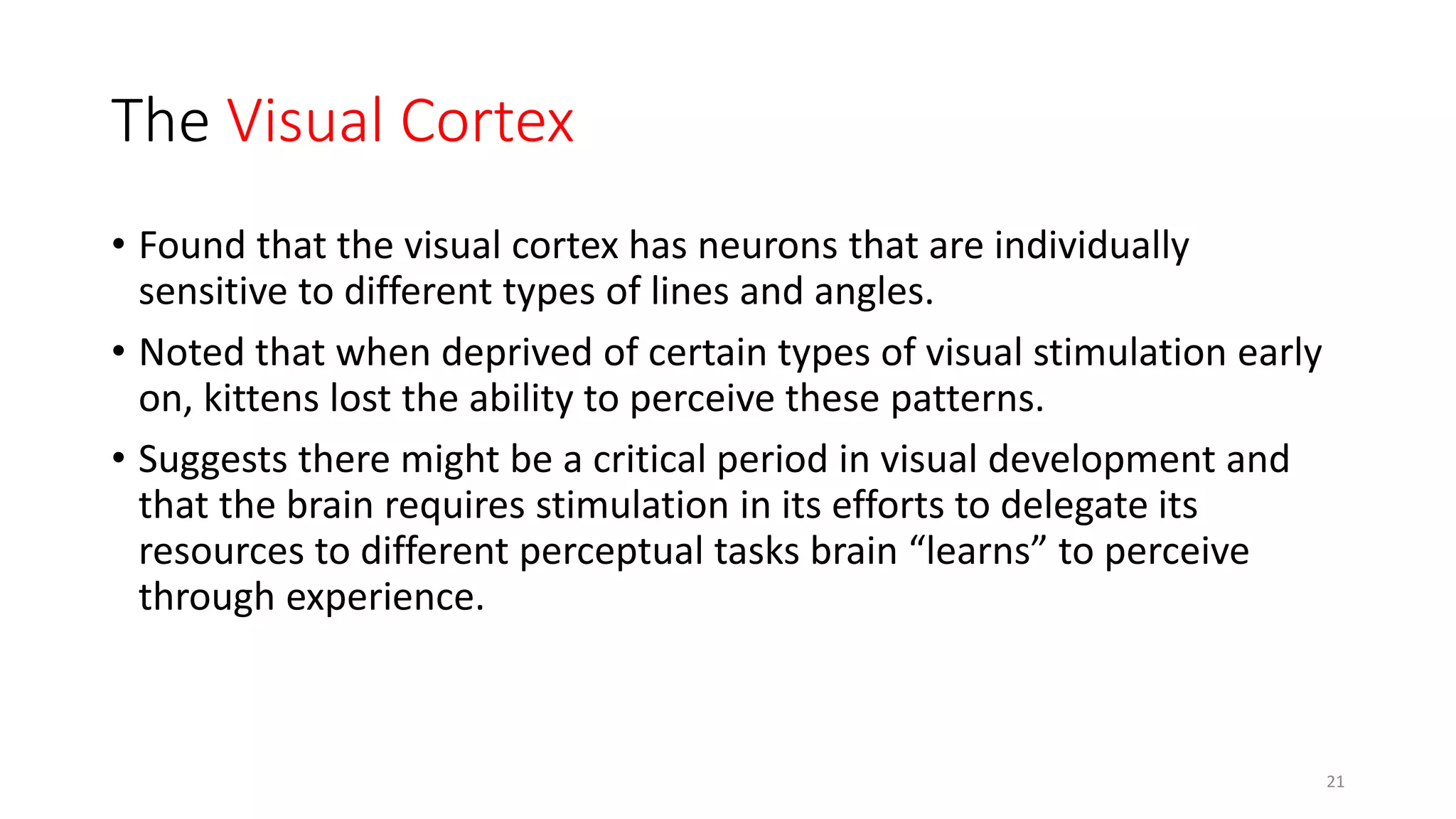 The Visual Cortex
• Found that the visual cortex has neurons that are individually
sensitive to different types of lines and angles.
• Noted that when deprived of certain types of visual stimulation early
on, kittens lost the ability to perceive these patterns.
• Suggests there might be a critical period in visual development and
that the brain requires stimulation in its efforts to delegate its
resources to different perceptual tasks brain “learns” to perceive
through experience.
21
 