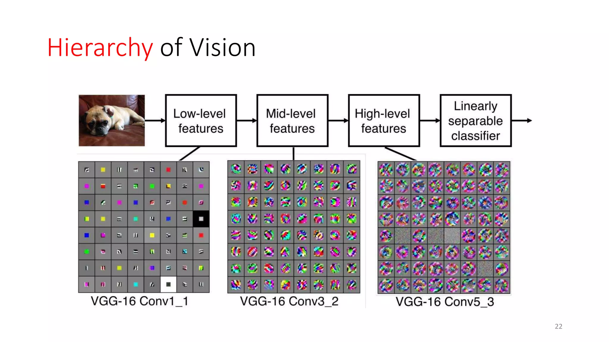 Hierarchy of Vision
22
 