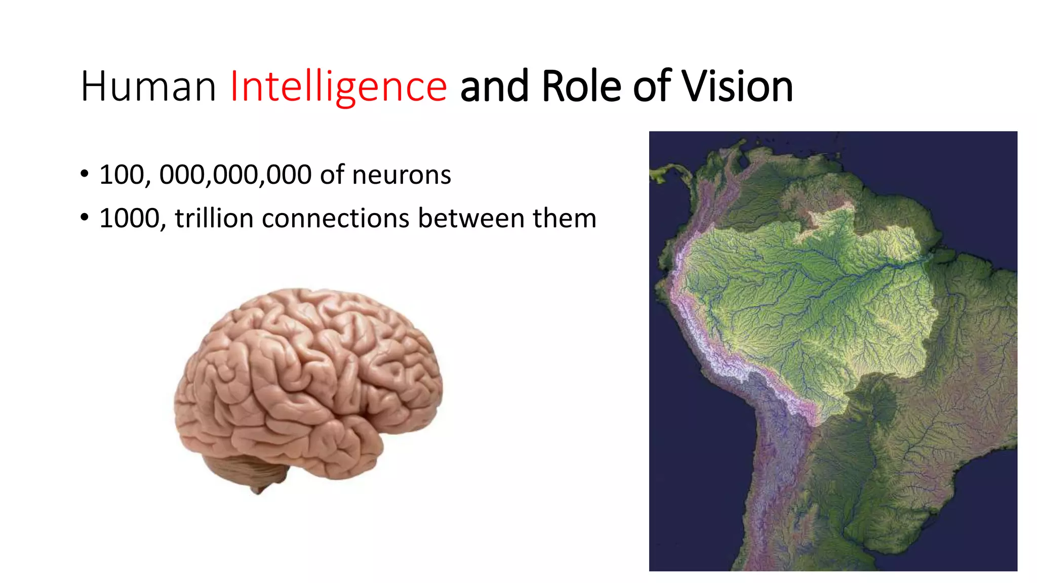Human Intelligence and Role of Vision
• 100, 000,000,000 of neurons
• 1000, trillion connections between them
4
 