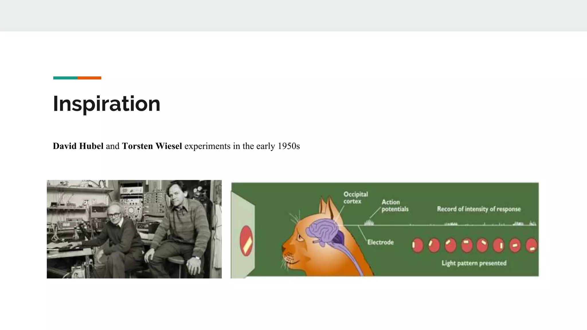 Inspiration
David Hubel and Torsten Wiesel experiments in the early 1950s
 