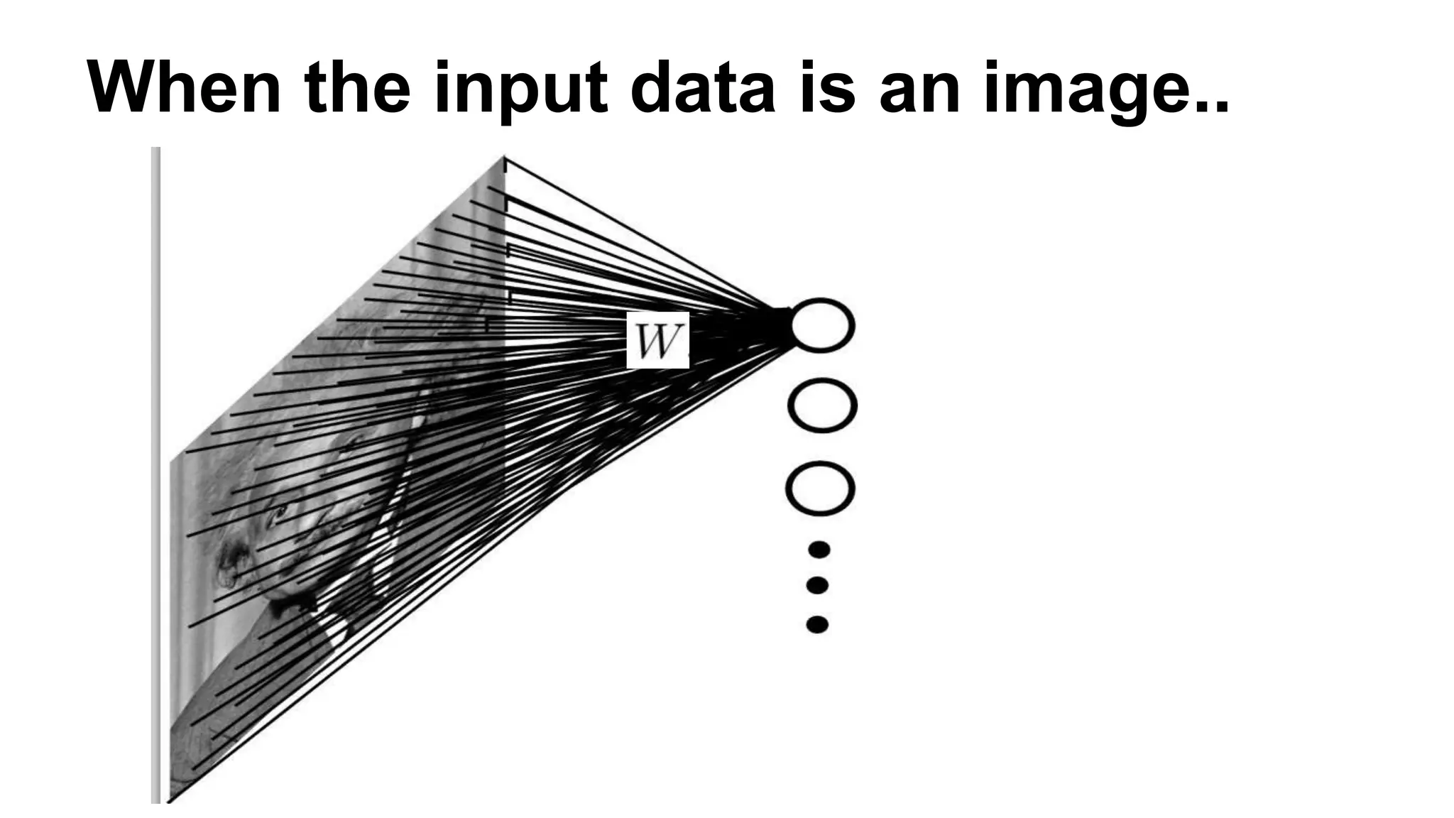 Convolutional neural networks