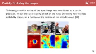 Partially Occluding the Images
To investigate which portion of the input image most contributed to a certain
prediction, we can slide an occluding object on the input, and seeing how the class
probability changes as a function of the position of the occluder object [12].
30
 