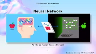 4
Bangladesh University of Professionals(BUP)
C o n v o l u t i o n a l N e u r a l N e t w o r k
Neural Network
As like as Human Neuron Network
 