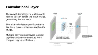 Convolution Neural Networks Models For Image Classification.pptx