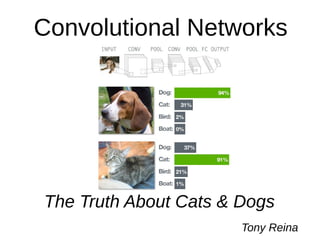 Convolutional Networks
The Truth About Cats & Dogs
Tony Reina
 