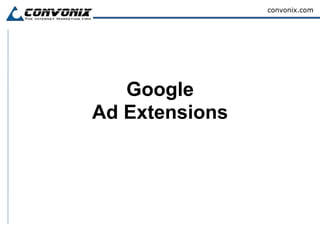 Google Ad Extensions 