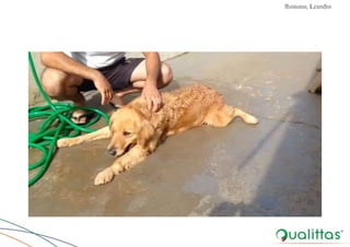 Convulsões e Epilepsia Prof. Me PostGrad Romano, Leandro
 