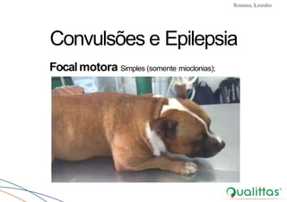 Convulsões e Epilepsia Prof. Me PostGrad Romano, Leandro
Convulsões e Epilepsia
Focalmotora Simples (somente mioclonias);
 