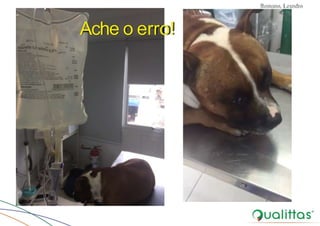 Convulsões e Epilepsia Prof. Me PostGrad Romano, Leandro
Ache o erro!
 