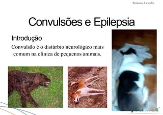 Convulsões e Epilepsia Prof. Me PostGrad Romano, Leandro
Convulsões e Epilepsia
Introdução
Convulsão é o distúrbio neurológico mais
comum na clínica de pequenos animais.
 