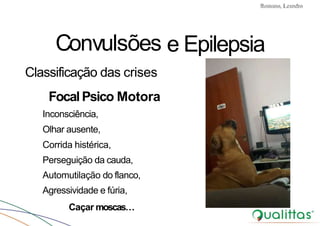 Convulsões e Epilepsia
Convulsões
Prof. Me PostGrad Romano, Leandro
e Epilepsia
Classificação das crises
Focal Psico Motora
Inconsciência,
Olhar ausente,
Corrida histérica,
Perseguição da cauda,
Automutilação do flanco,
Agressividade e fúria,
Caçar moscas…
 