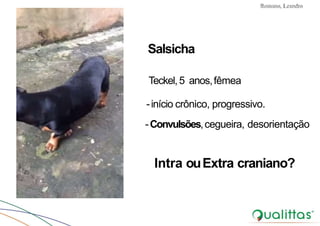 Convulsões e Epilepsia Prof. Me PostGrad Romano, Leandro
Salsicha
Teckel,5 anos,fêmea
-início crônico, progressivo.
-Convulsões,cegueira, desorientação
Intra ouExtra craniano?
 