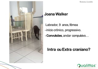Convulsões e Epilepsia Prof. Me PostGrad Romano, Leandro
Intra ouExtra craniano?
Joana Walker
Labrador, 9 anos,fêmea
-início crônico, progressivo.
-Convulsões,andar compulsivo…
 