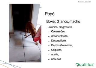 Convulsões e Epilepsia Prof. Me PostGrad Romano, Leandro
-
-
-
-
-
-
-
Convulsões,
desorientação,
Desequilíbrio,
Depressão mental,
Cegueira,
apatia,
anorexia
Popó
Boxer, 3 anos,macho
- crônico, progressivo.
 