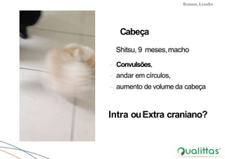 Convulsões e Epilepsia Prof. Me PostGrad Romano, Leandro
Cabeça
Shitsu, 9 meses,macho
- Convulsões,
- andar em círculos,
- aumento de volume da cabeça
Intra ouExtra craniano?
 
