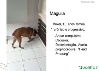 Convulsões e Epilepsia Prof. Me PostGrad Romano, Leandro
Maguila
Boxer, 10 anos,fêmea
* crônico e progressivo,
Andar compulsivo,
Cegueira,
Desorientação, Ataxia
proprioceptiva, “Head
Pressing"
 