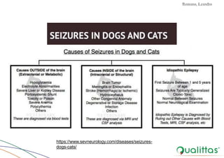 Convulsões e Epilepsia Prof. Me PostGrad Romano, Leandro
https://www.sevneurology.com/diseases/seizures-
dogs-cats/
 