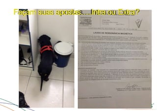 Convulsões e Epilepsia Prof. Me PostGrad Romano, Leandro
Façam suas apostas…..Intra ou Extra?
 