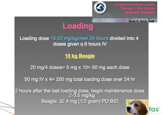 Convulsões e Epilepsia Prof. Me PostGrad Romano, Leandro
 