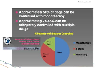 Convulsões e Epilepsia Prof. Me PostGrad Romano, Leandro
 