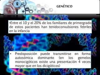 GENÉTICO
•Entre el 10 y el 20% de los familiares de primergrado
de estos pacientes han tenidoconvulsiones febriles
en la infancia
• Predisposición puede transmitirse en forma
autosómica dominante (en los gemelos
monocigóticos existe una presentación 4 veces
mayor que en los dicigóticos)
 