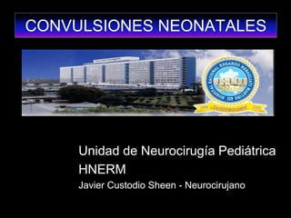 Unidad de Neurocirugía Pediátrica
HNERM
Javier Custodio Sheen - Neurocirujano
CONVULSIONES NEONATALES
 