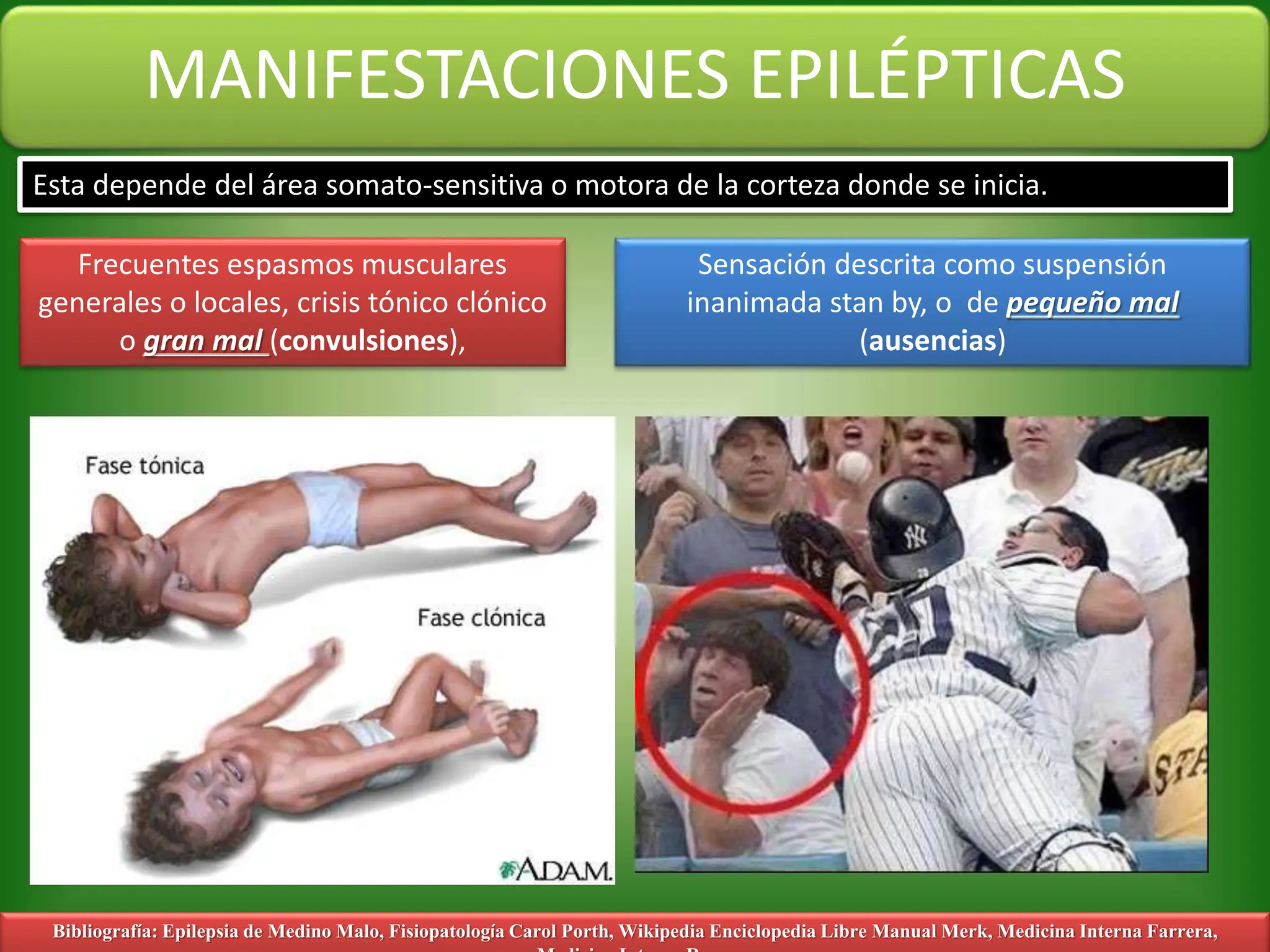 convulsiones y epilepsias.pptx | First Aid | Injuries