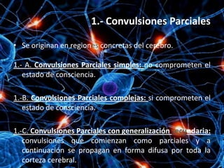 1.- Convulsiones Parciales

• Se originan en regiones concretas del cerebro.

1.- A. Convulsiones Parciales simples: no comprometen el
   estado de consciencia.

1.-B. Convulsiones Parciales complejas: si comprometen el
   estado de consciencia.

1.-C. Convulsiones Parciales con generalización secundaria:
   convulsiones que comienzan como parciales y a
   continuación se propagan en forma difusa por toda la
   corteza cerebral.
 
