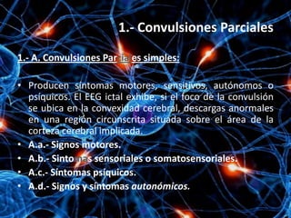 1.- Convulsiones Parciales

1.- A. Convulsiones Parciales simples:

• Producen síntomas motores, sensitivos, autónomos o
  psíquicos. El EEG ictal exhibe, si el foco de la convulsión
  se ubica en la convexidad cerebral, descargas anormales
  en una región circunscrita situada sobre el área de la
  corteza cerebral implicada.
• A.a.- Signos motores.
• A.b.- Sintomas sensoriales o somatosensoriales.
• A.c.- Síntomas psíquicos.
• A.d.- Signos y síntomas autonómicos.
 